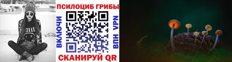Псилоцибиновые грибы ЛСД наркотики Энгельс