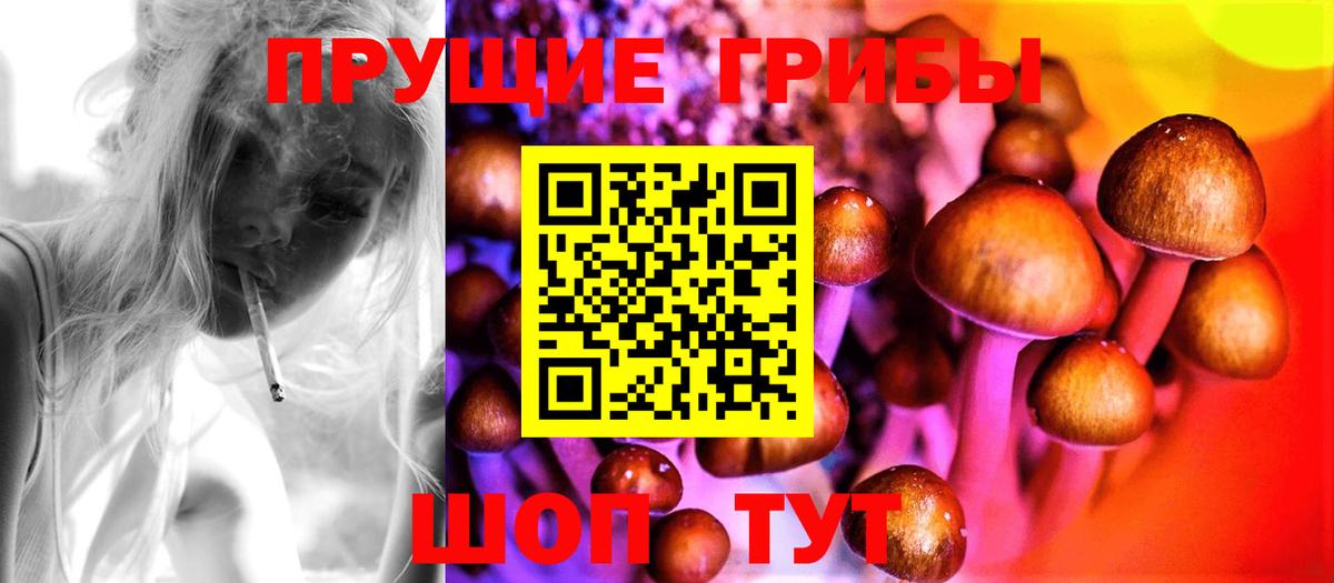 Псилоцибиновые грибы Cubensis Энгельс