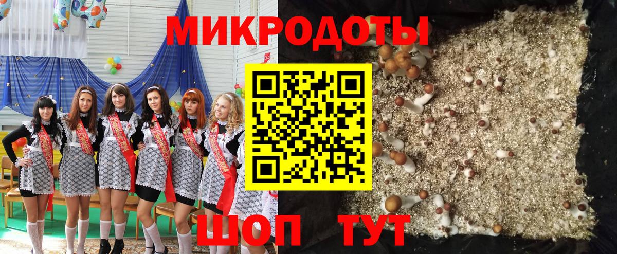Псилоцибиновые грибы Magic Shrooms  Вход с VPN  Энгельс 